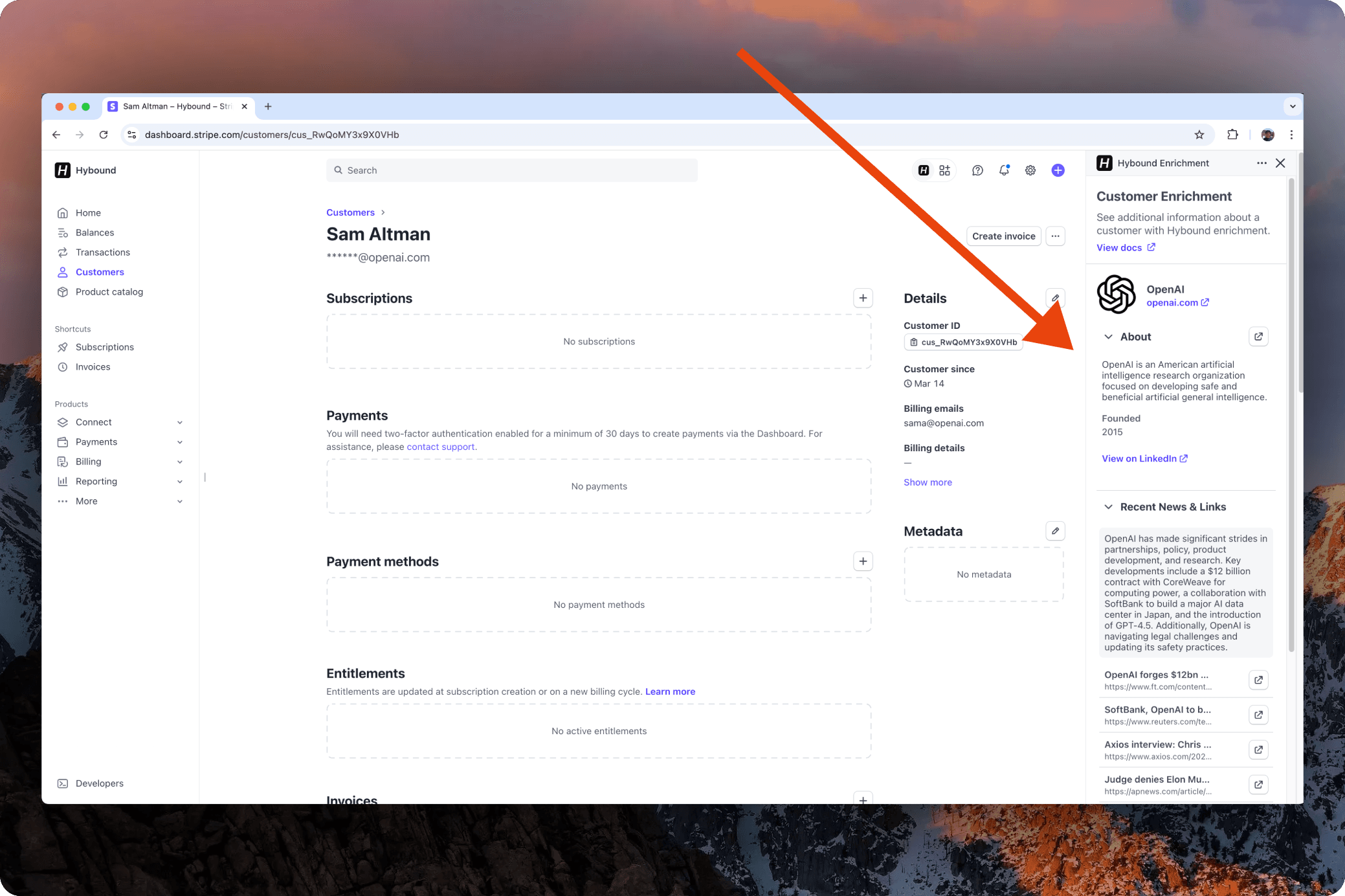 Stripe App Preview